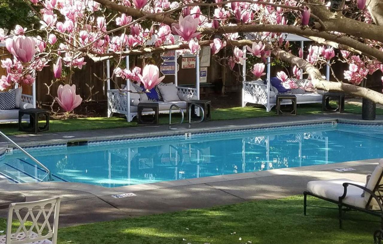 The White House Napa Valley Exterior foto