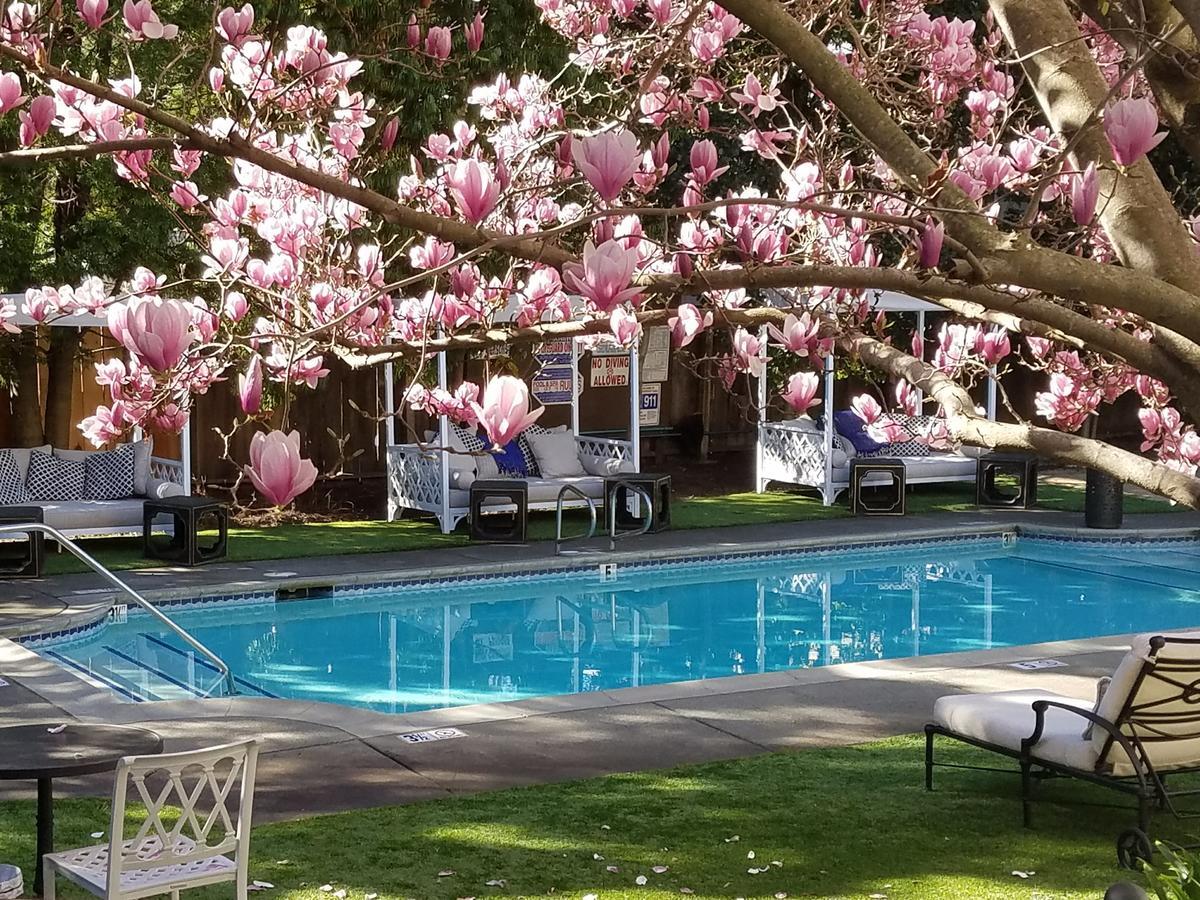 The White House Napa Valley Exterior foto