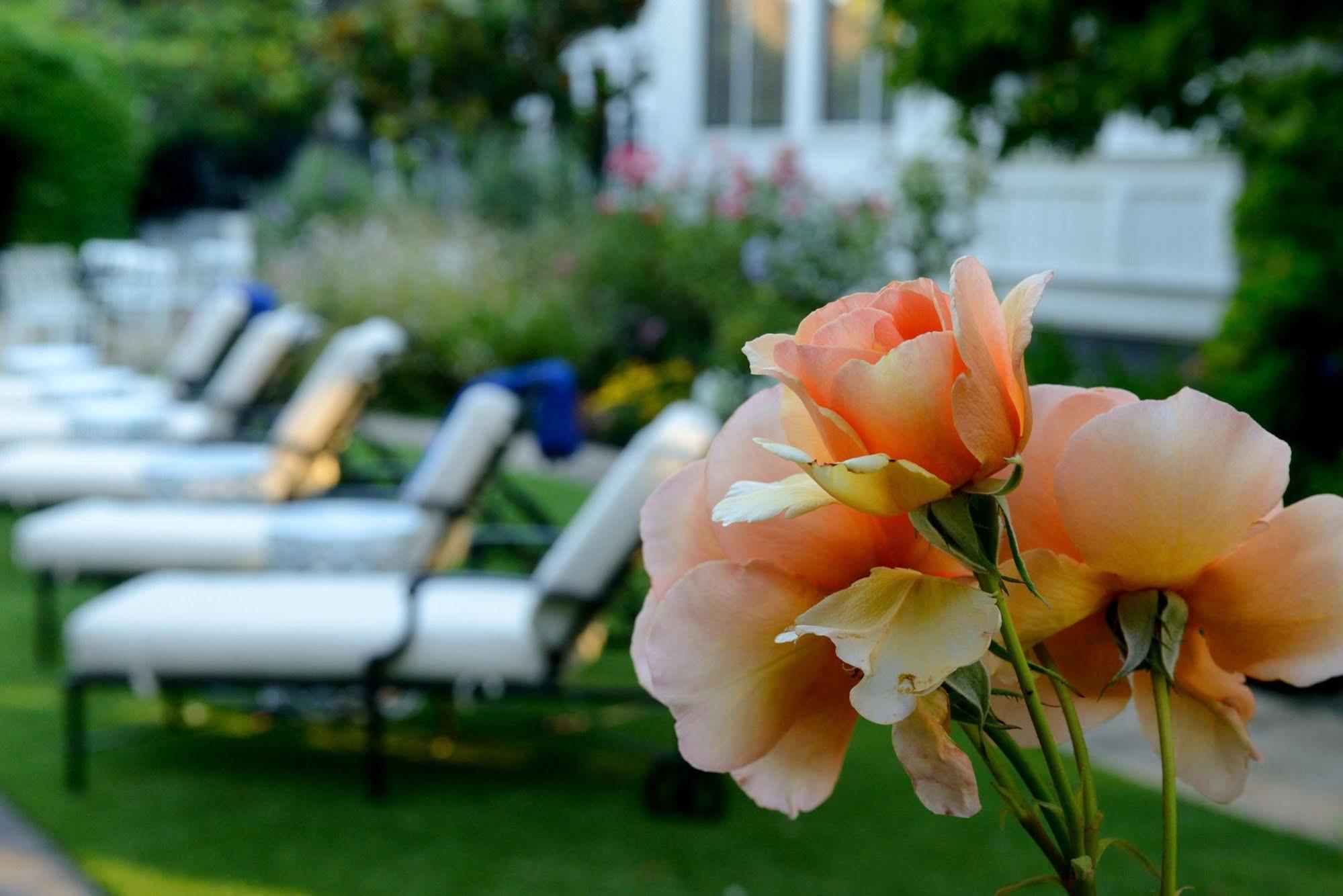 The White House Napa Valley Exterior foto